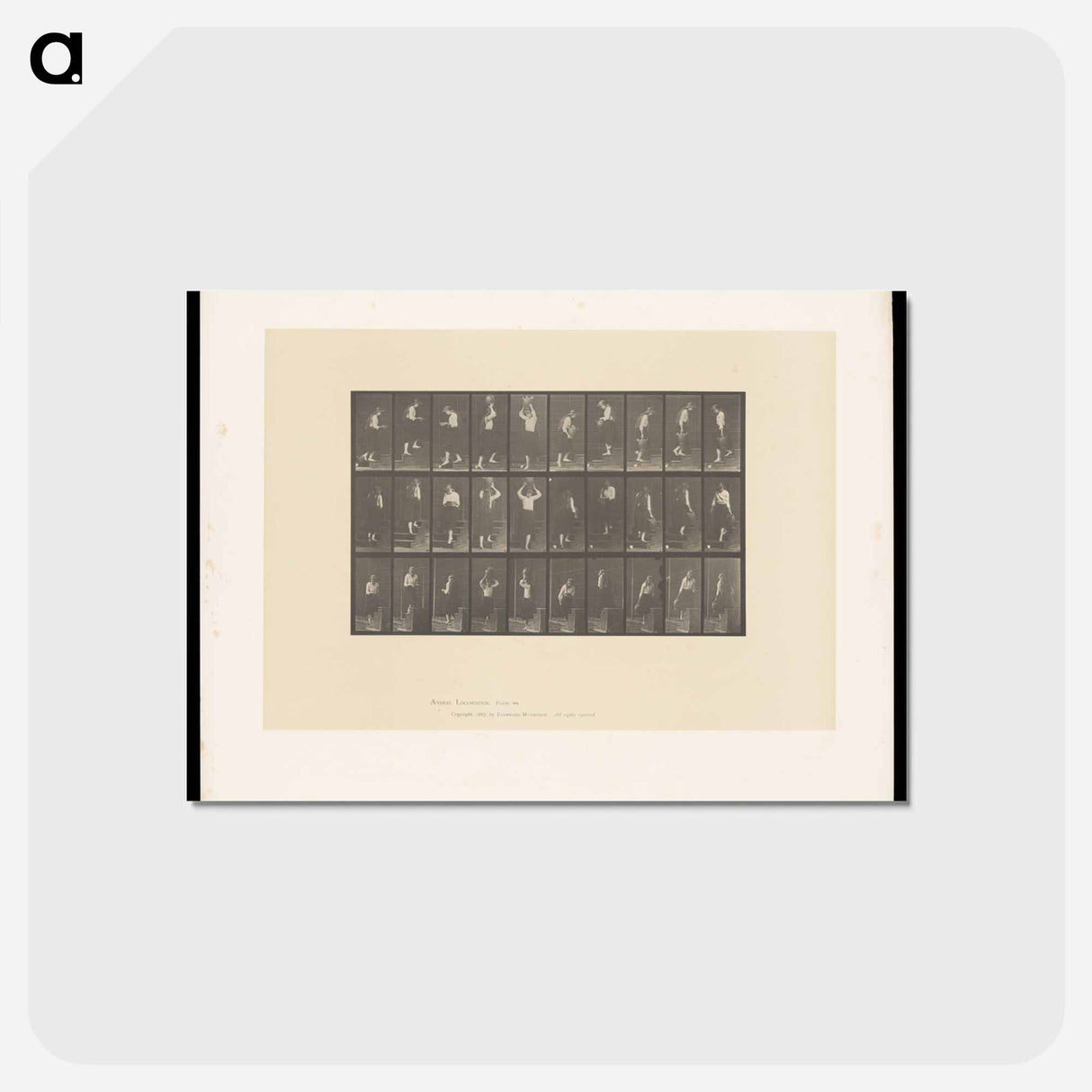 アートポストカード-Woman with Bowl and Water Jar
- エドワード マイブリッジ Postcard.
