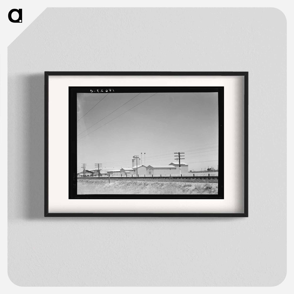 Untitled photo - Dorothea Lange Poster.