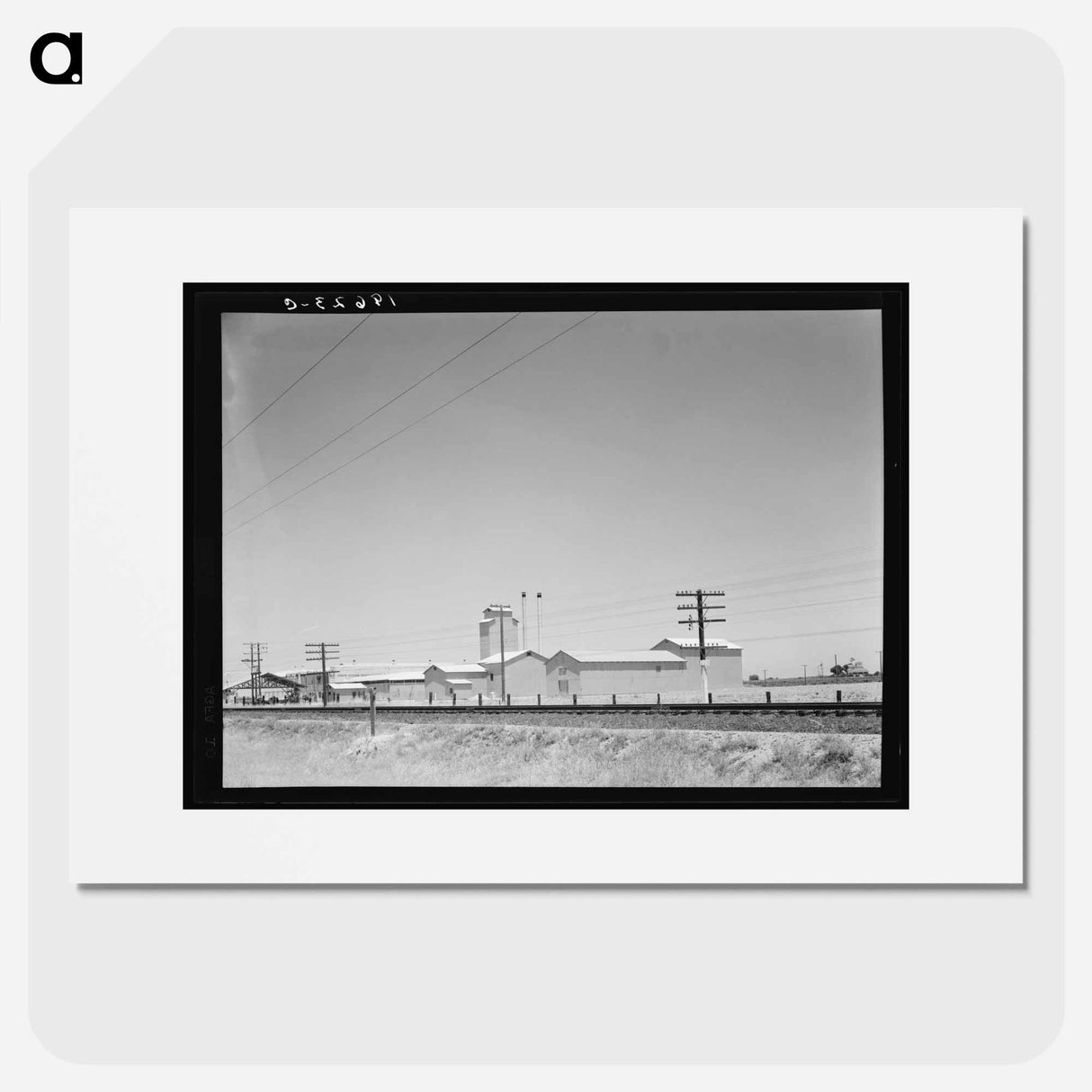 Untitled photo - Dorothea Lange Poster.