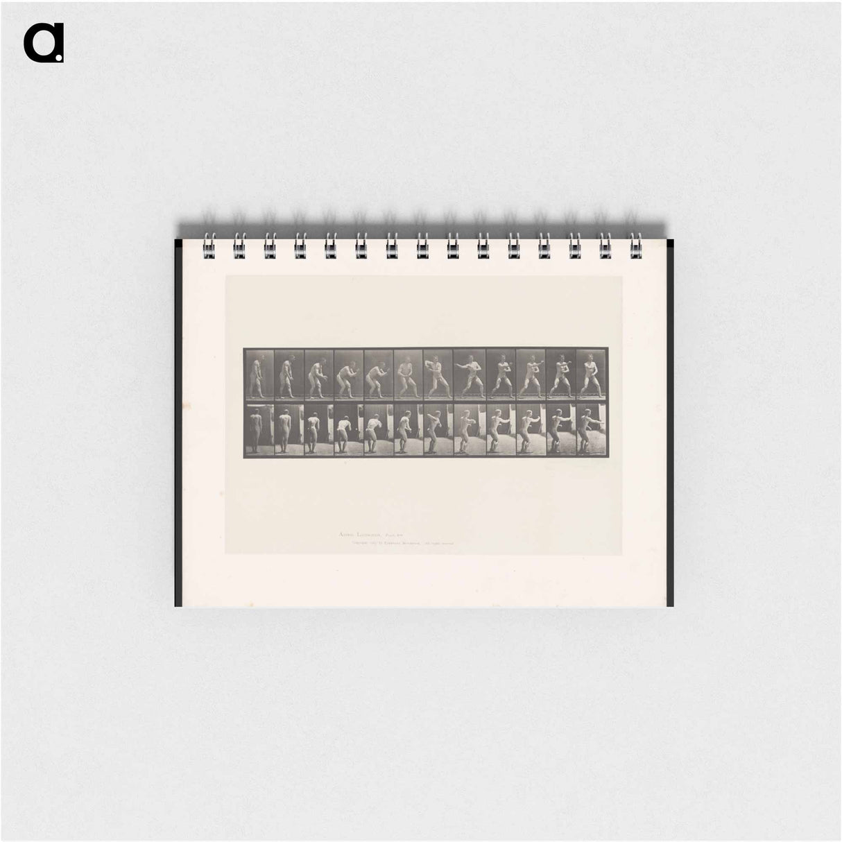 アートメモ帳-The Throw
- エドワード マイブリッジ Memo.