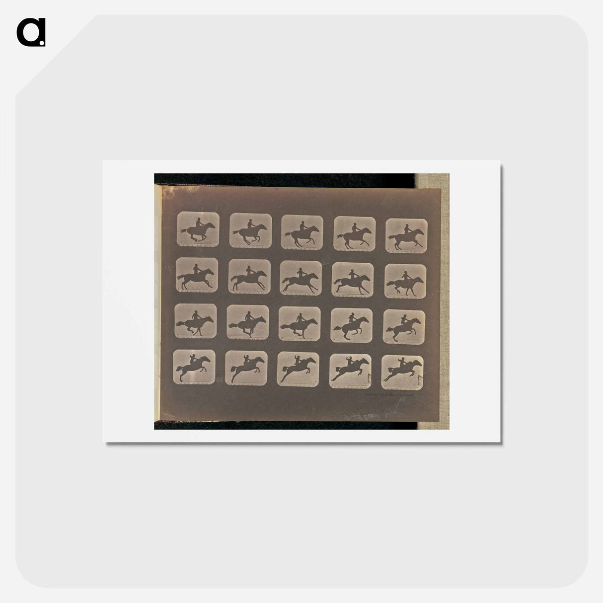 アートポストカード-Leaping
- エドワード マイブリッジ Postcard.