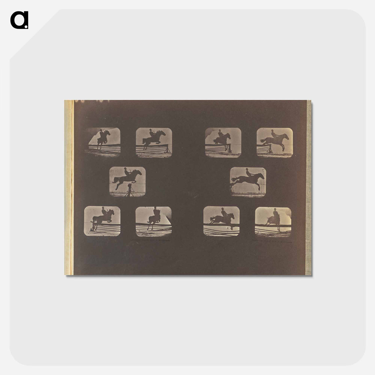 アートポストカード-Leaping
- エドワード マイブリッジ Postcard.