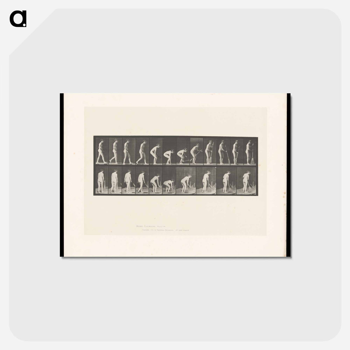 アートポストカード-The Sweeper
- エドワード マイブリッジ Postcard.
