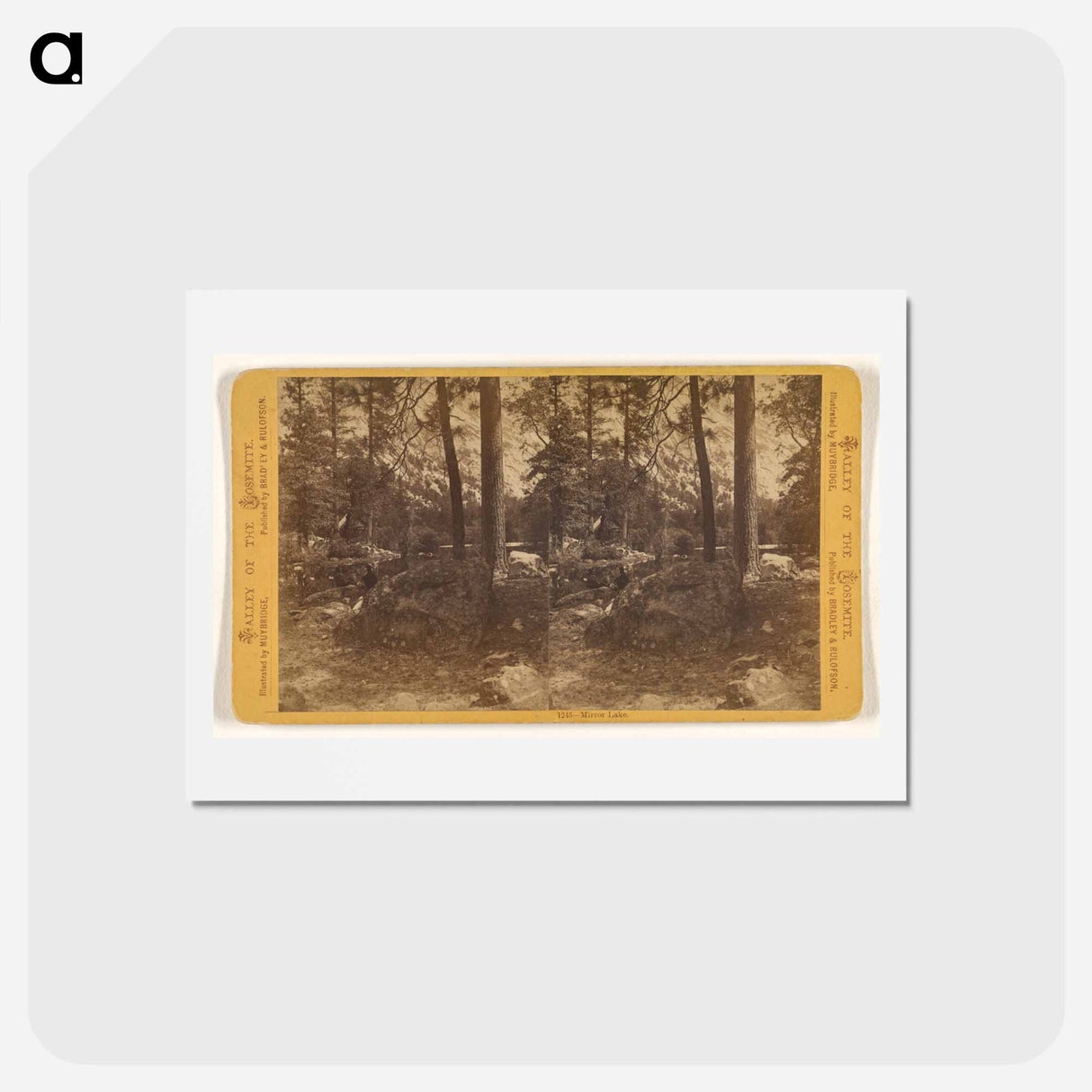 アートポストカード-Mirror Lake
- エドワード マイブリッジ Postcard.