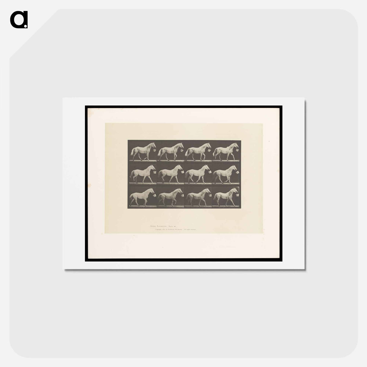 アートポストカード-Horse with Bucket
- エドワード マイブリッジ Postcard.