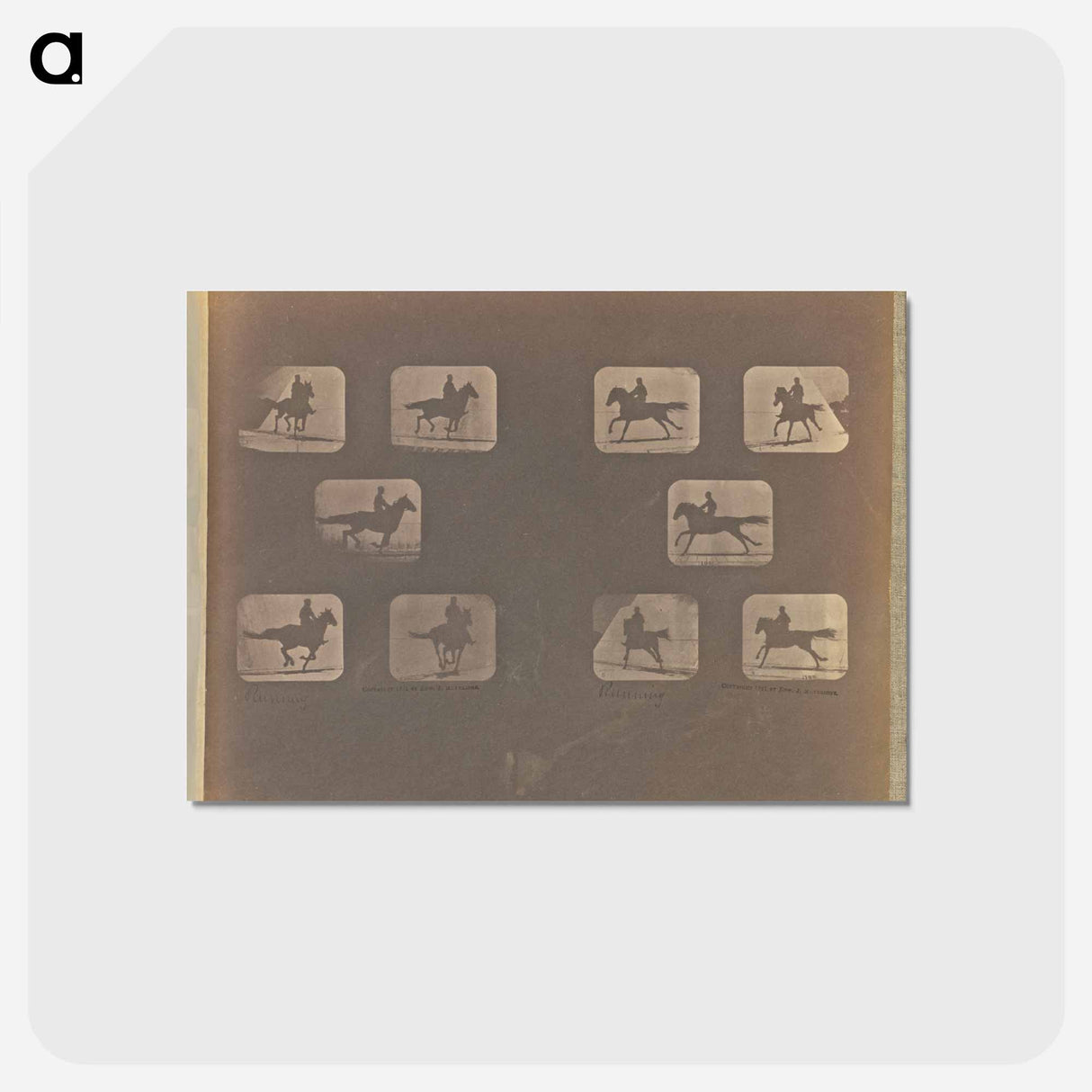 アートポストカード-Running
- エドワード マイブリッジ Postcard.