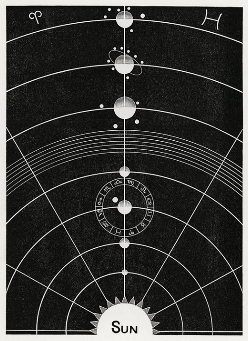 Solar Biology(太陽生物学)