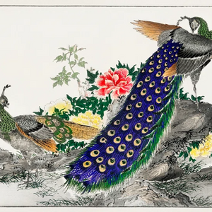 Pictorial Monograph of Birds(鳥類図鑑)