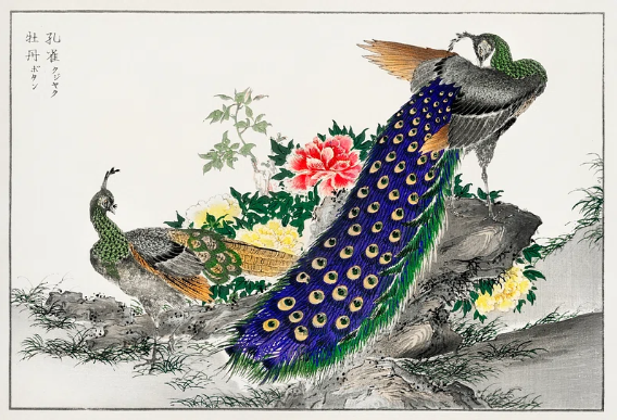 Pictorial Monograph of Birds(鳥類図鑑)