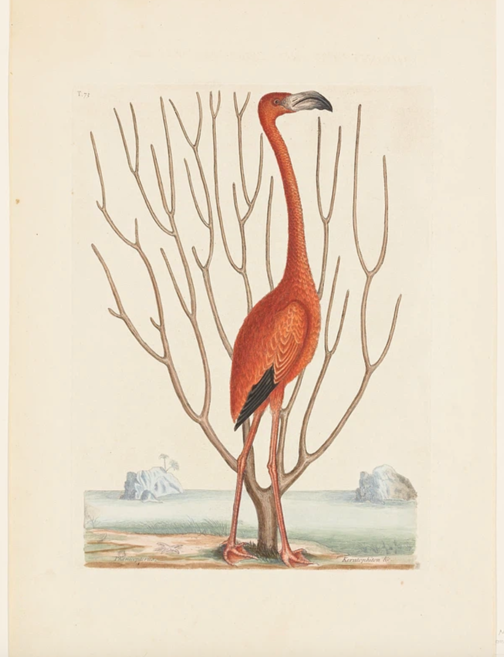 ケイツビーのアートポスター・アートキャンバス