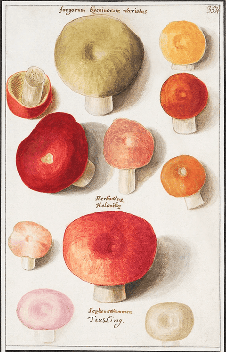 ブートのアートポスター・アートキャンバス