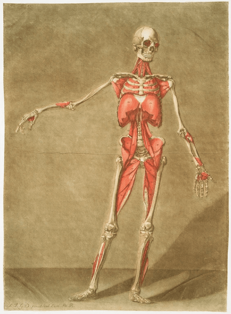 ダゴティのアートポスター・アートキャンバス