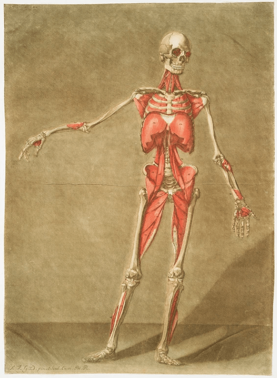 ダゴティのアートポスター・アートキャンバス