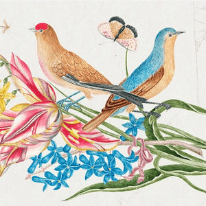 Beautiful Arrangements of Flowers, Birds and Butterflies(花、鳥、蝶の美しいアレンジメント)