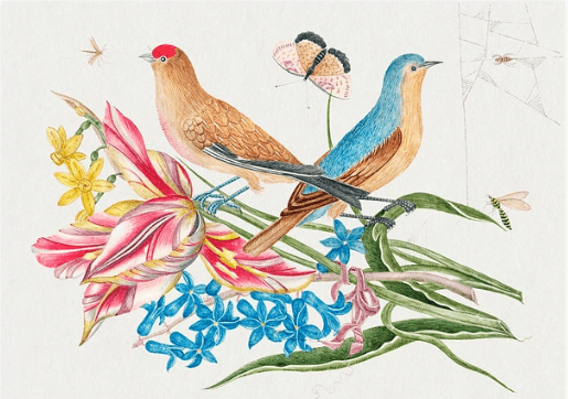 Beautiful Arrangements of Flowers, Birds and Butterflies(花、鳥、蝶の美しいアレンジメント) - artgraph.