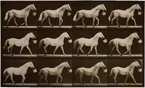 Eadweard Muybridge(エドワード マイブリッジ)