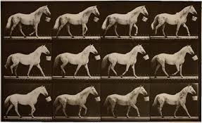 Eadweard Muybridge(エドワード マイブリッジ)