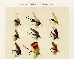 Favorite Flies and Their History