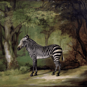 George Stubbs(ジョージ スタブス)