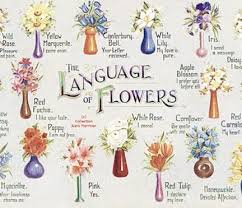 The Language of Flowers(花言葉)