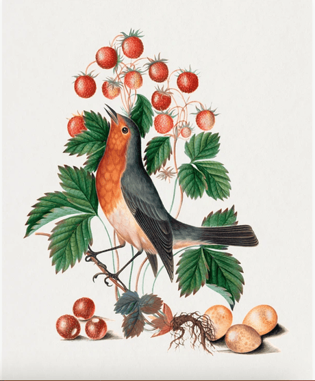 ボルトンのアートポスター・アートキャンバス