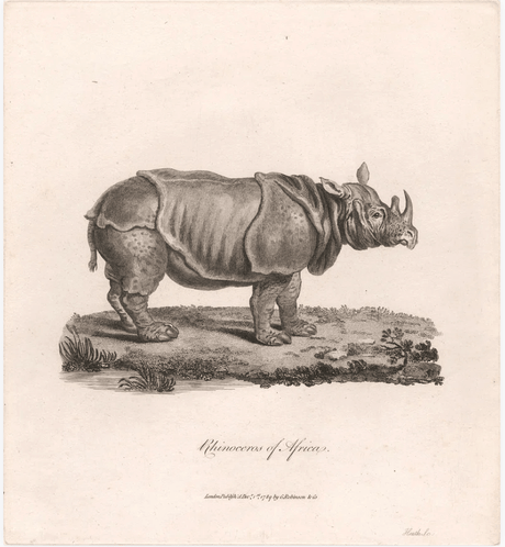 ヒースのアートポスター・アートキャンバス