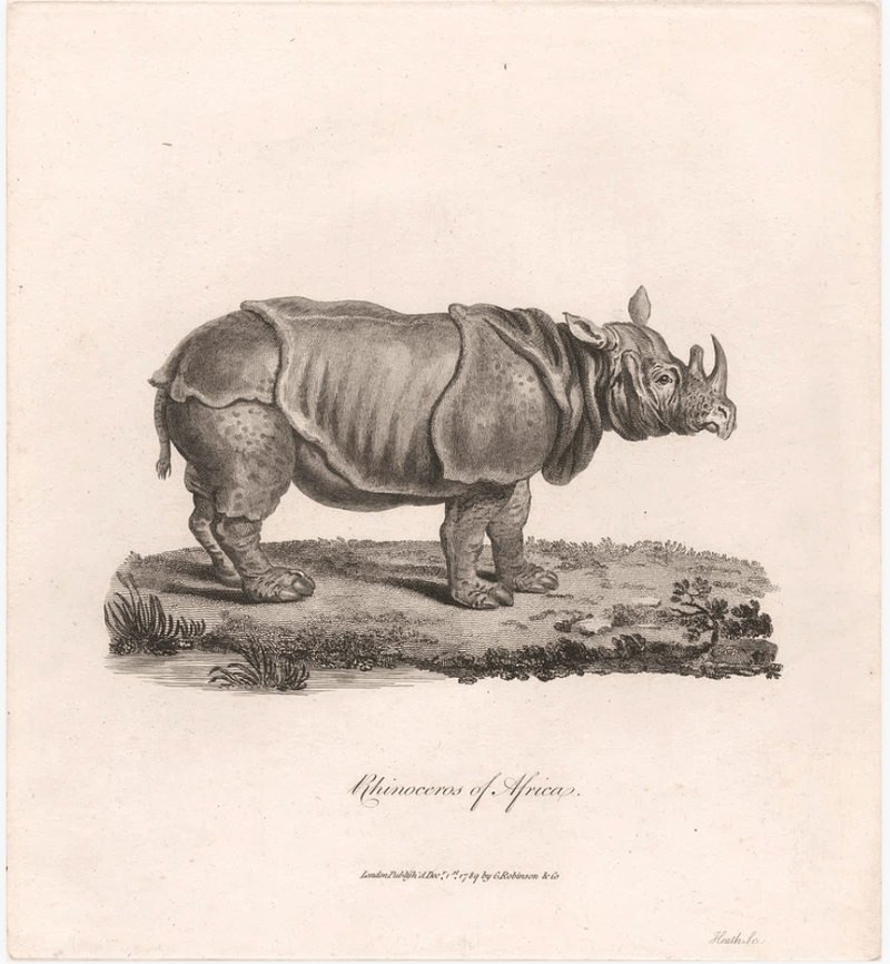 James Heath(ジェームス ヒース)