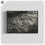 1-100_Alfred-Stieglitz_blk-crop