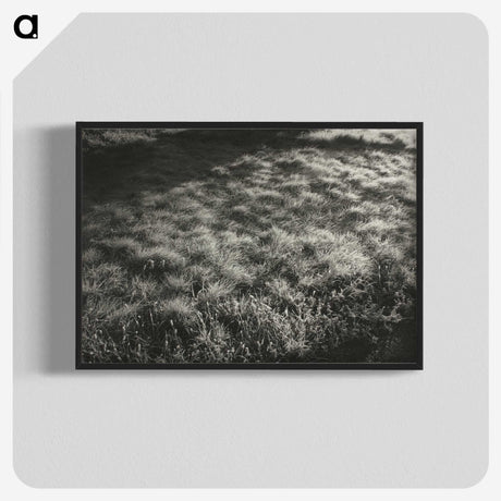 1-100_Alfred-Stieglitz_blk-crop