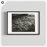 1-100_Alfred-Stieglitz_blk