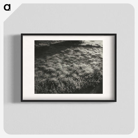 1-100_Alfred-Stieglitz_blk