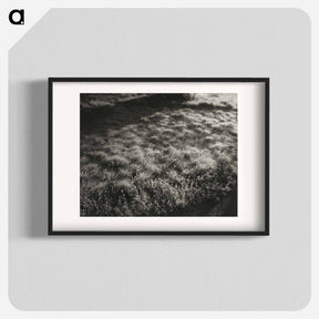 アートポスター-Grass and Frost - アルフレッド スティーグリッツ Poster.