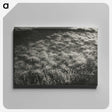 1-100_Alfred-Stieglitz_canvas