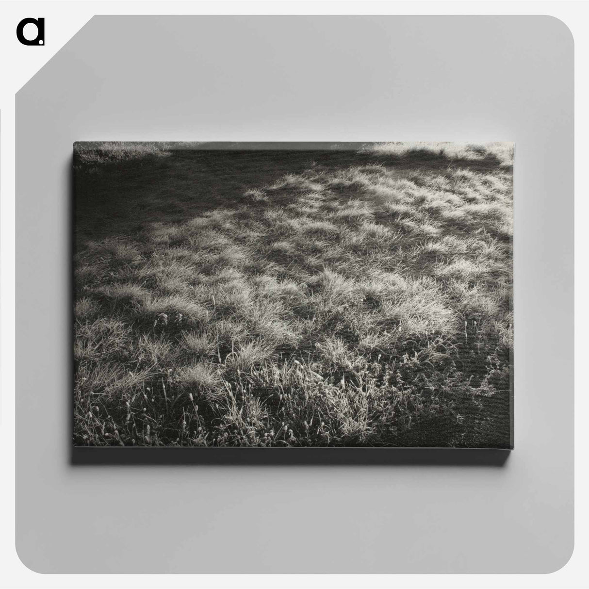 Grass and Frost - アルフレッド スティーグリッツ Canvas.