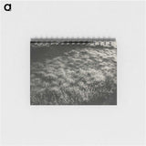 1-100_Alfred-Stieglitz_memo