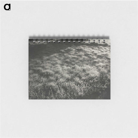 1-100_Alfred-Stieglitz_memo
