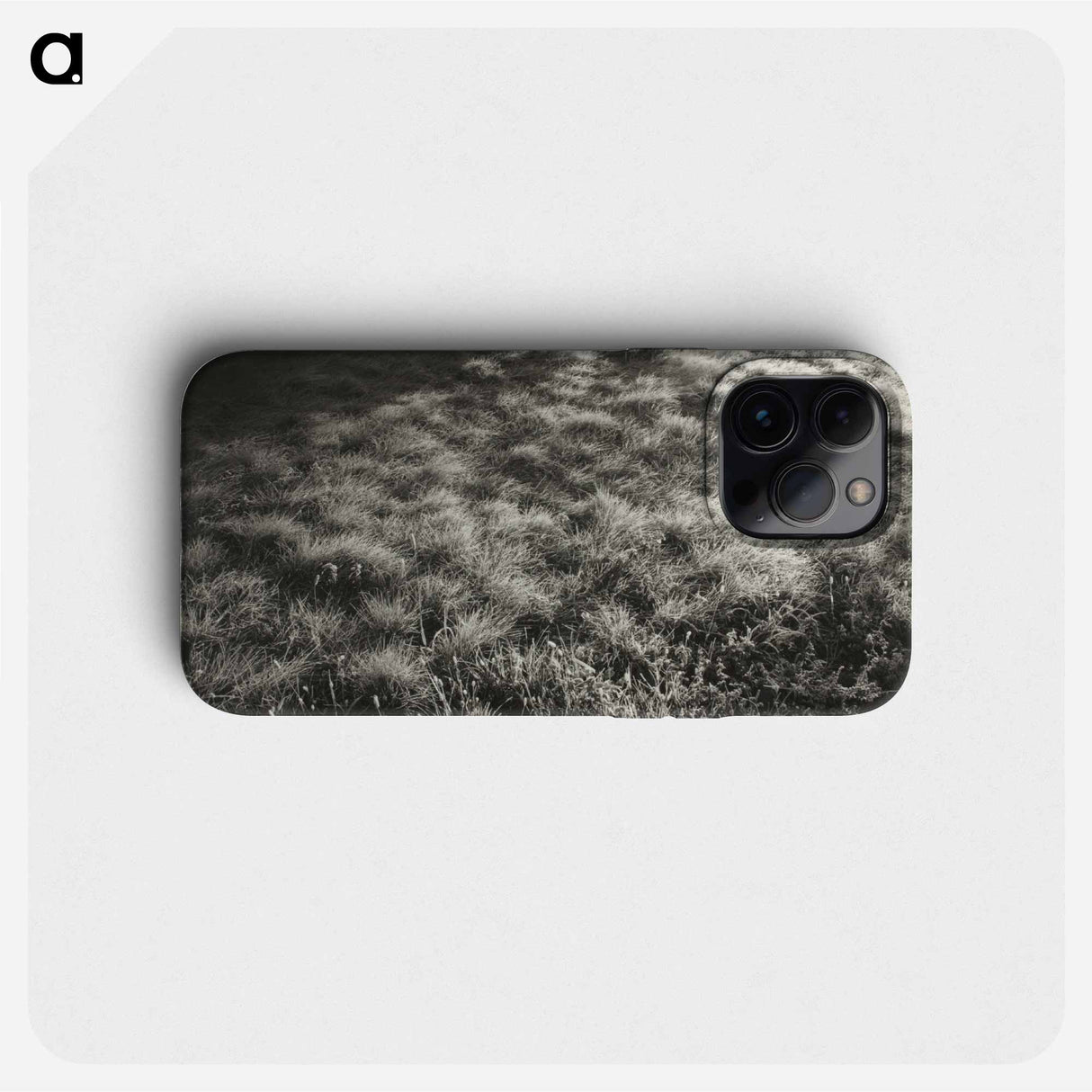 Grass and Frost - アルフレッド スティーグリッツ Phone Case.