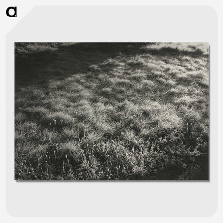 1-100_Alfred-Stieglitz_picture-crop