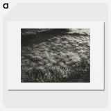 1-100_Alfred-Stieglitz_picture