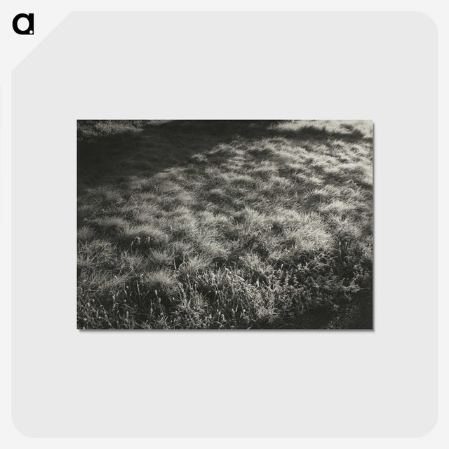 1-100_Alfred-Stieglitz_postcard