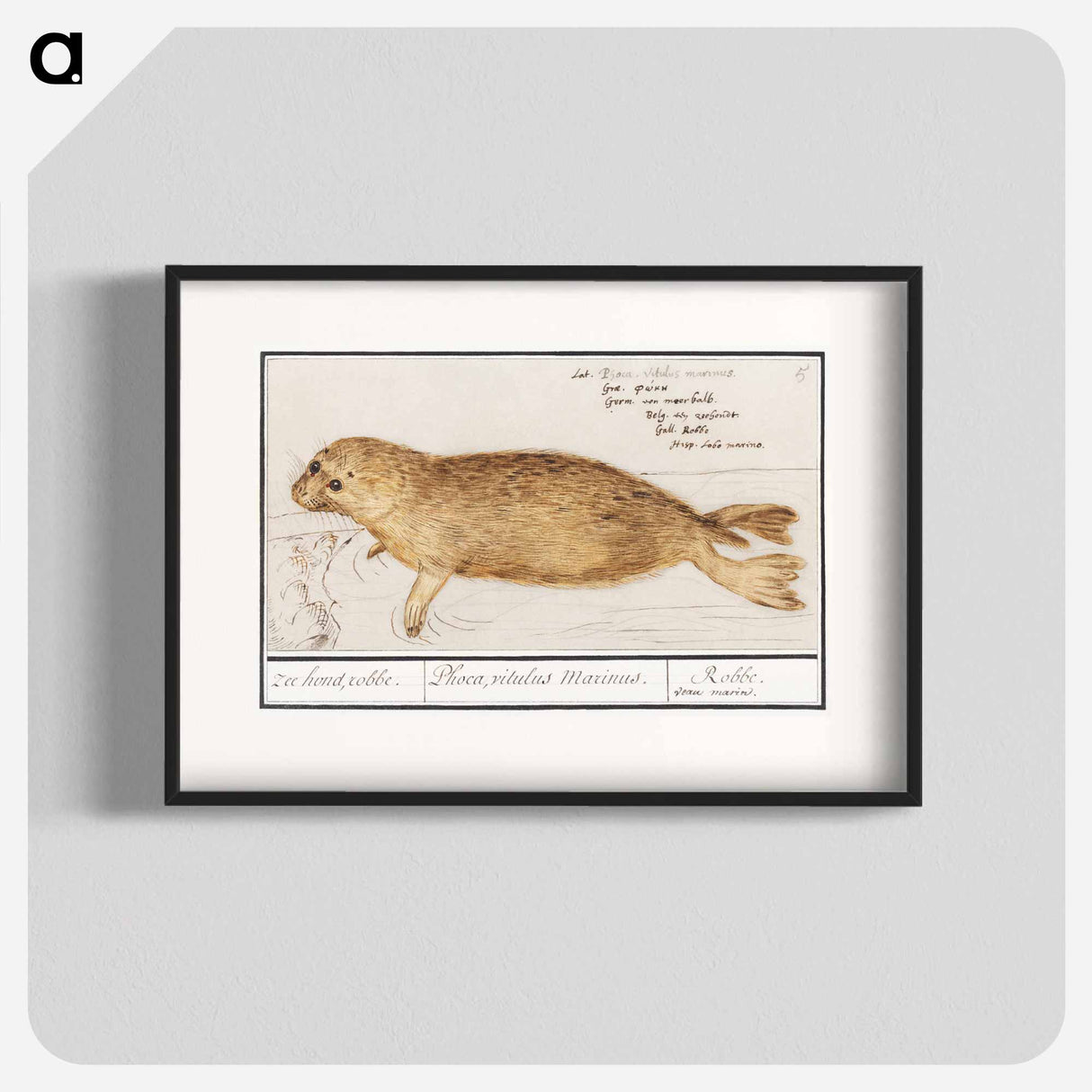 Seal - アンセルムス ボエティウス デ ブート Poster.