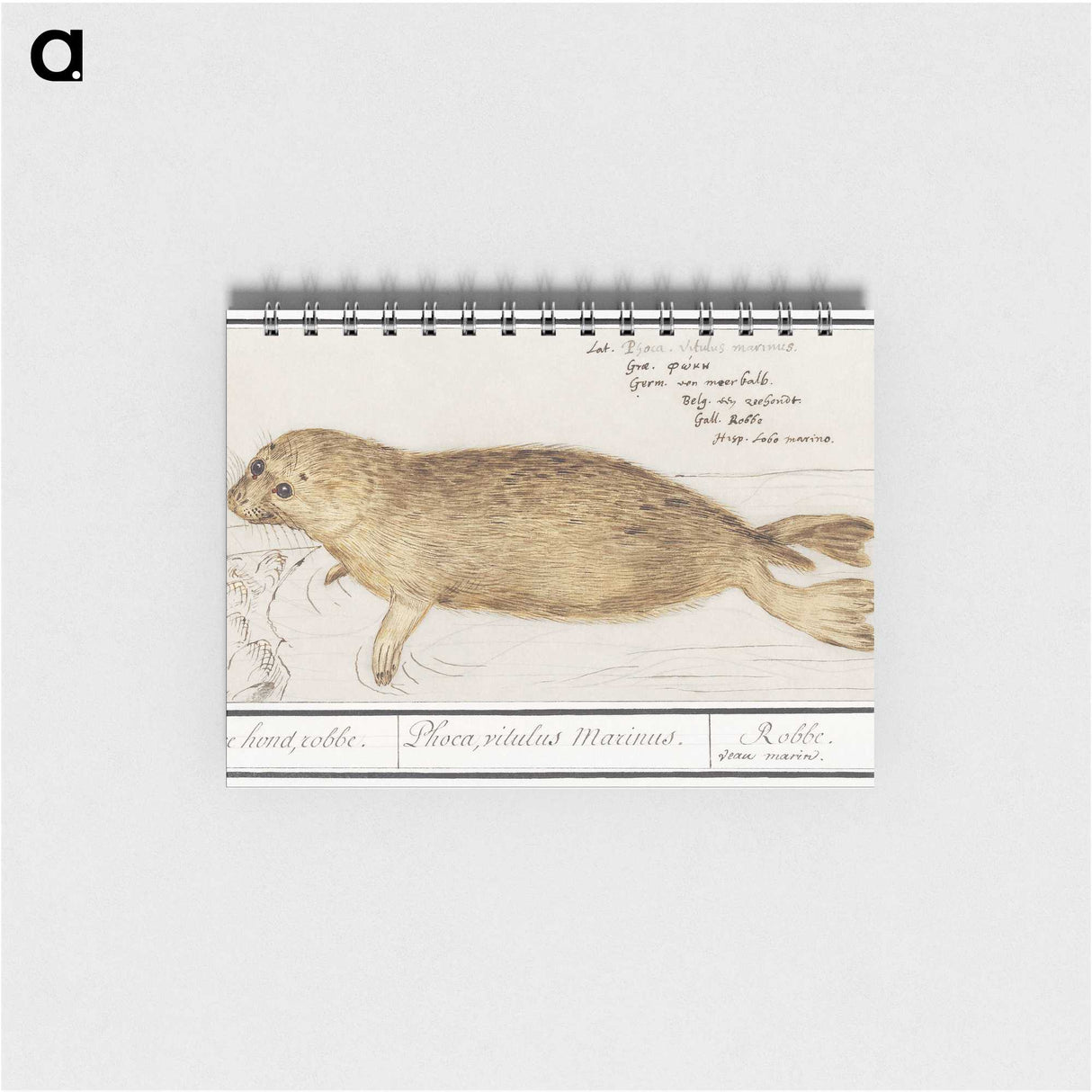 1-100_Anselmus-Boetius-de-Boodt_memo