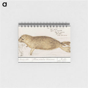 1-100_Anselmus-Boetius-de-Boodt_memo