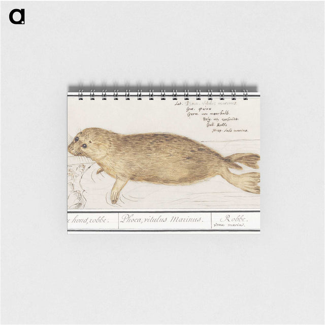 1-100_Anselmus-Boetius-de-Boodt_memo