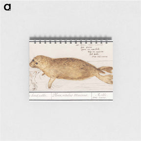 アートメモ帳-Seal - アンセルムス ボエティウス デ ブート Memo.