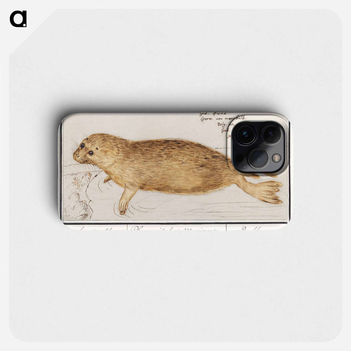 Seal - アンセルムス ボエティウス デ ブート Phone Case.