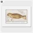 1-100_Anselmus-Boetius-de-Boodt_picture