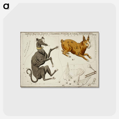 アートポストカード-Sidney Hall’s astronomical chart illustration of the Canis Major, Lepus, Columba Noachi and the Cela Sculptoris - アンティーク地図 Postcard.