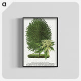 1-100_Botanical-Specimen-Plates_blk-crop
