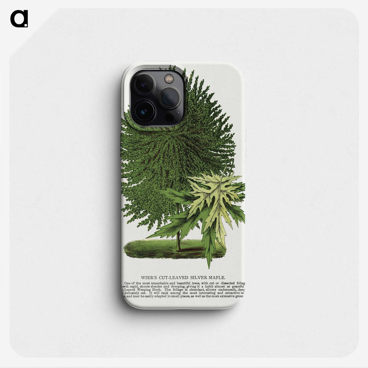 1-100_Botanical-Specimen-Plates_phone